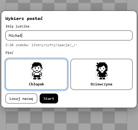 When a customer enters the store, they create their character.